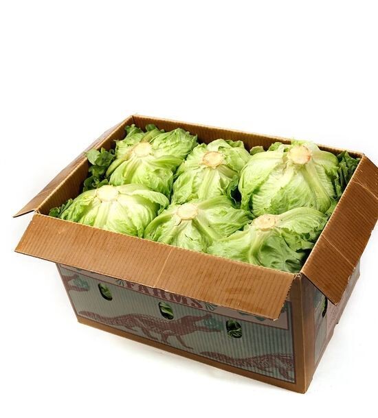 ICEBERG LETTUCE (BOX)