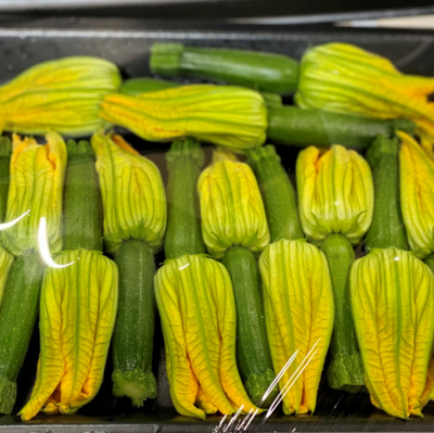 ZUCCHINI FLOWER (TRAY)