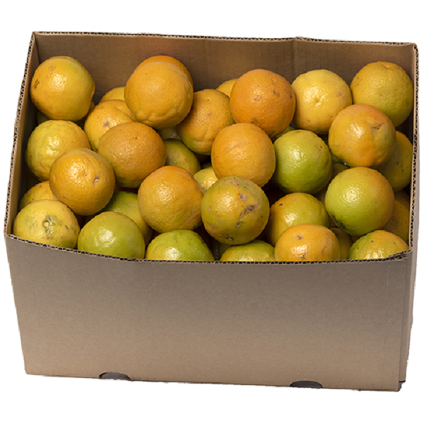 ORANGES JUICING BOX (10KG)