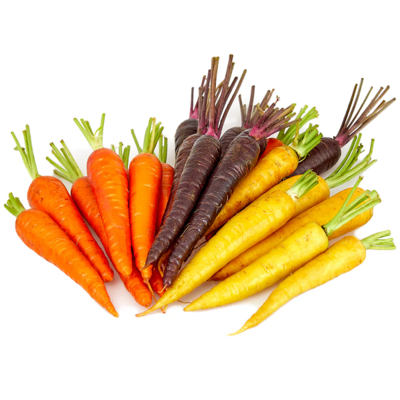 HEIRLOOM COLOURED CARROTS (BUNCH)