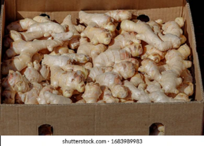 GINGER (BOX)