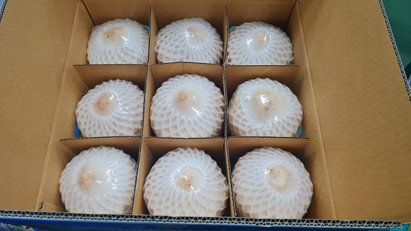 COCONUT YOUNG X 9 (BOX)