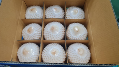 COCONUT YOUNG X 9 (BOX)