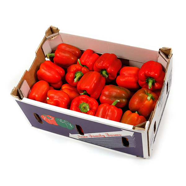 CAPSICUM RED (BOX)