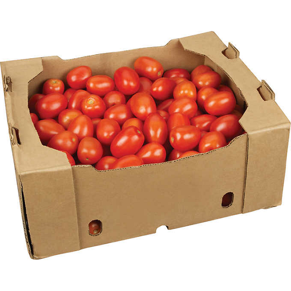 ROMA TOMATOES (10kg BOX)