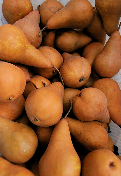 BOSC PEARS (KG)
