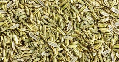 MASTER OF SPICES FENNEL SEEDS (52G)