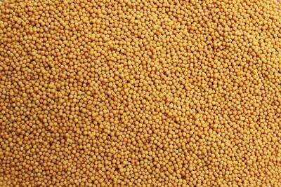 MASTER OF SPICES MUSTARD YELLOW SEEDS (70G)
