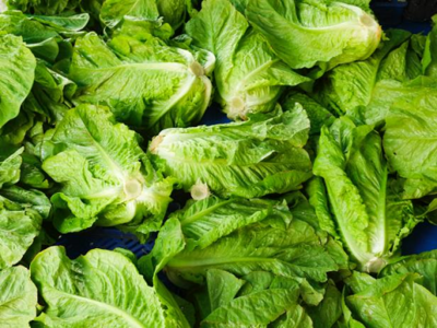 BABY COS LETTUCE (BOX)