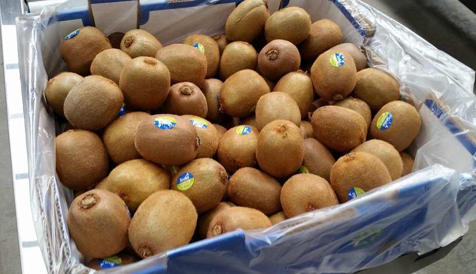 KIWIFRUIT (BOX)
