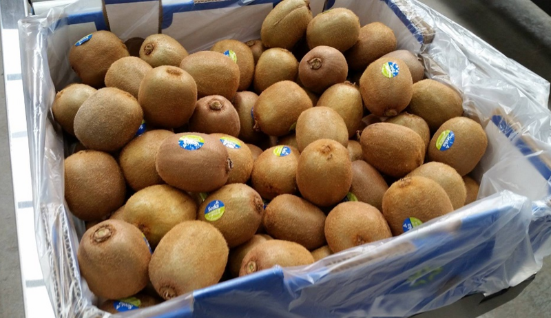 KIWIFRUIT (BOX)