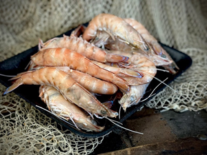 SEA HARVEST AUSTRALIA WHOLE RAW WESTERN KING PRAWNS (1KG)