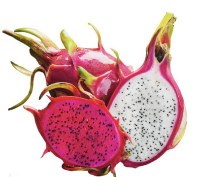 DRAGON FRUIT (YELLOW)