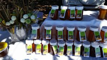 KEL-BEE APIARIES FRESH HIVE HONEY (450g)