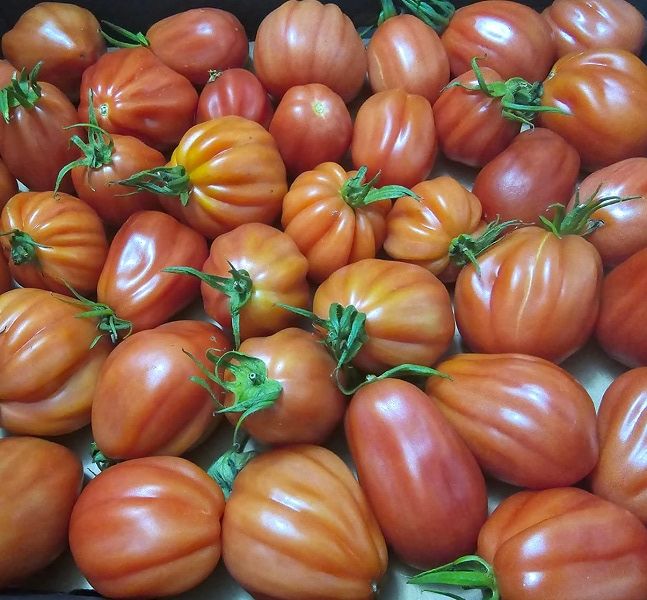 TOMATOES OXHEART/HEIRLOOM (KG)