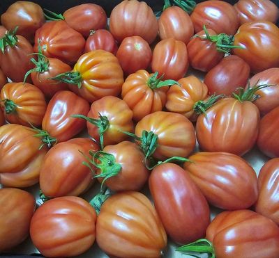 TOMATOES OXHEART/HEIRLOOM (KG)