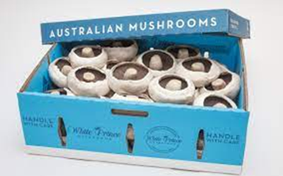 BUTTON MUSHROOMS (BOX)