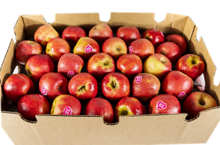 PINK LADY APPLES MEDIUM SIZE (BOX)