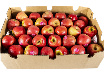 PINK LADY APPLES MEDIUM SIZE (BOX)
