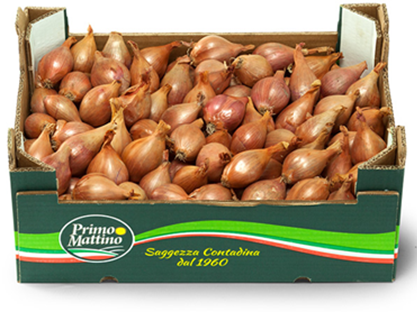FRESH ESCHALLOTS (BOX)
