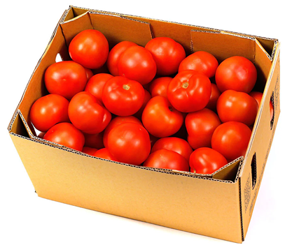 PREMIUM TOMATOES (BOX)