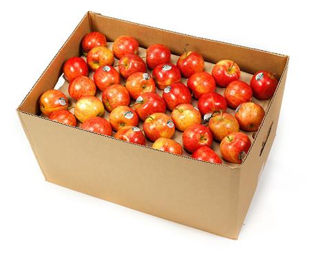 ROYAL GALA APPLES (BOX)
