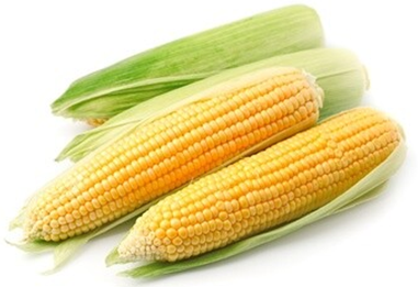 CORN (EACH)