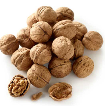 FRESH WALNUTS IN SHELL (500g)