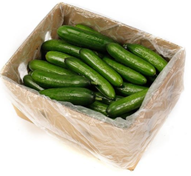 LEBANESE CUCUMBER (BOX)
