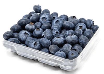 BLUEBERRIES (PUNNET)