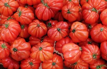 TOMATOES OXHEART/HEIRLOOM LOCALLY GROWN(KG) TOMATOES OXHEART/HEIRLOOM LOCALLY GROWN(KG)