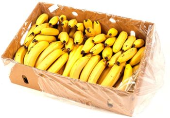 BANANAS (BOX)