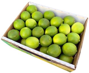 LIMES (TRAY)