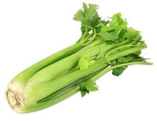 CELERY (WHOLE)