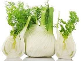 FENNEL (EACH)