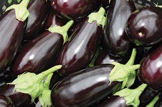 EGGPLANT (BOX)