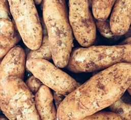 KIFLERS POTATOES (BOX)