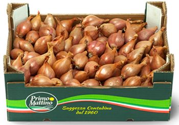 FRESH ESCHALLOTS (BOX) FRESH ESCHALLOTS (BOX)