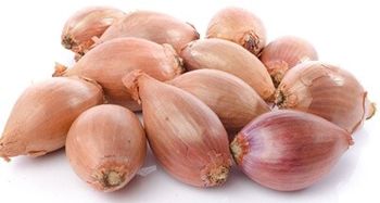 FRESH ESCHALLOTS (1KG)