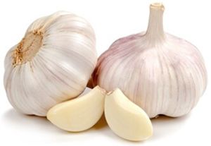 GARLIC HEADS (KG)