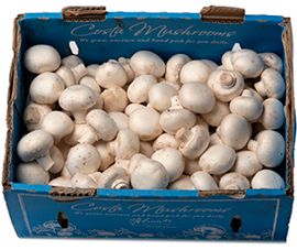 BUTTON MUSHROOMS (BOX)