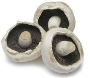 FLAT MUSHROOMS (500G)
