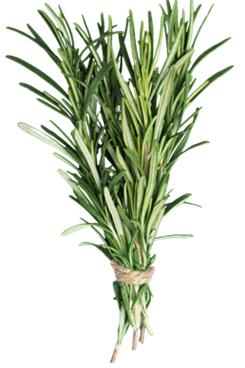 ROSEMARY (BUNCH)