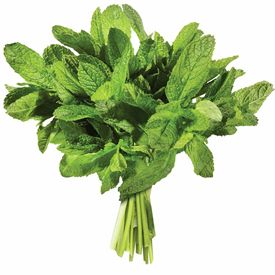 MINT (BUNCH)