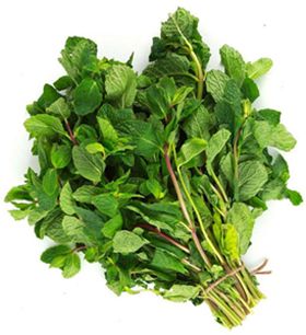 MINT (MARKET BUNCH)