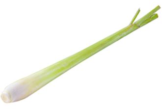 LEMON GRASS (EACH)