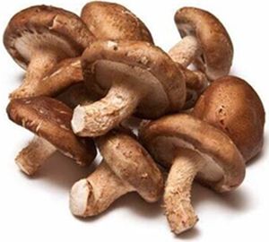 SHIITAKE MUSHROOMS (100G) PACK