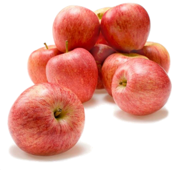 NEW SEASON PREMIUM LARGE ROYAL GALA APPLES (KG)