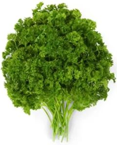 AUSSIE CURLY PARSLEY (MARKET BUNCH)
