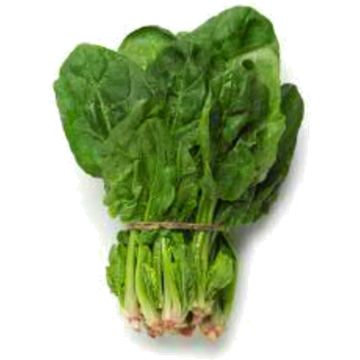 ENGLISH SPINACH (BUNCH)